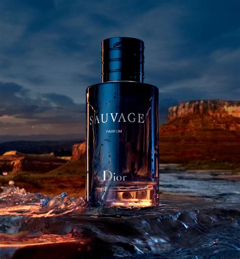 aroma parfum dior sauvage|dior sauvage unisex.